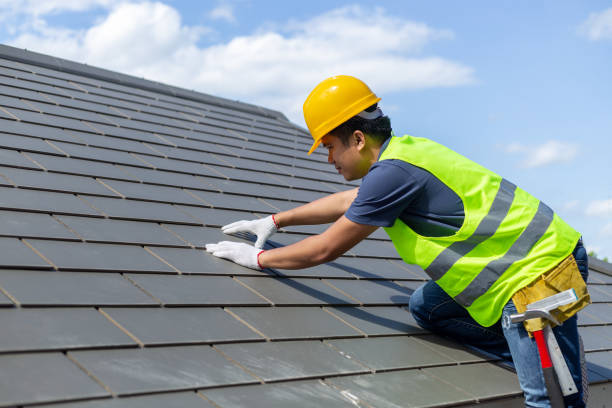 Best Roof Gutter Cleaning  in Franklinton, NC