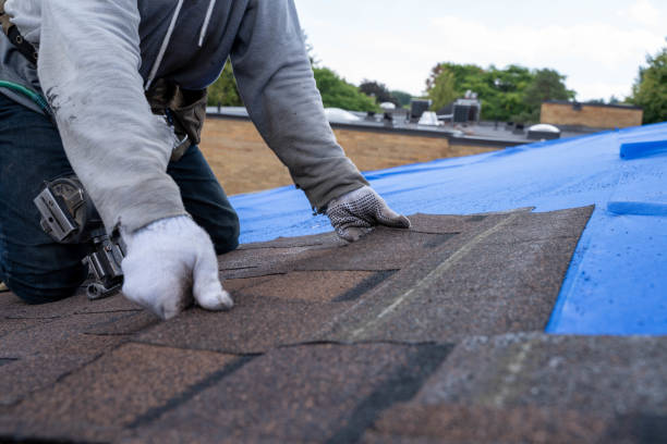 Best Emergency Roof Repair  in Franklinton, NC